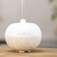 Aroma Globe diffuser